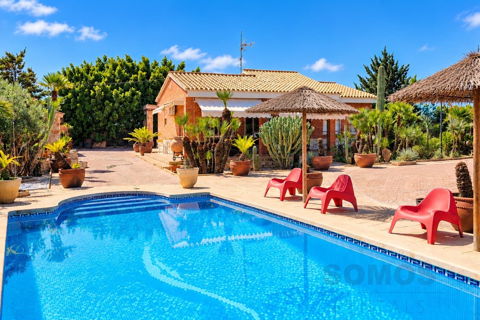 Villa Cactuario, El Altet — photographie 1