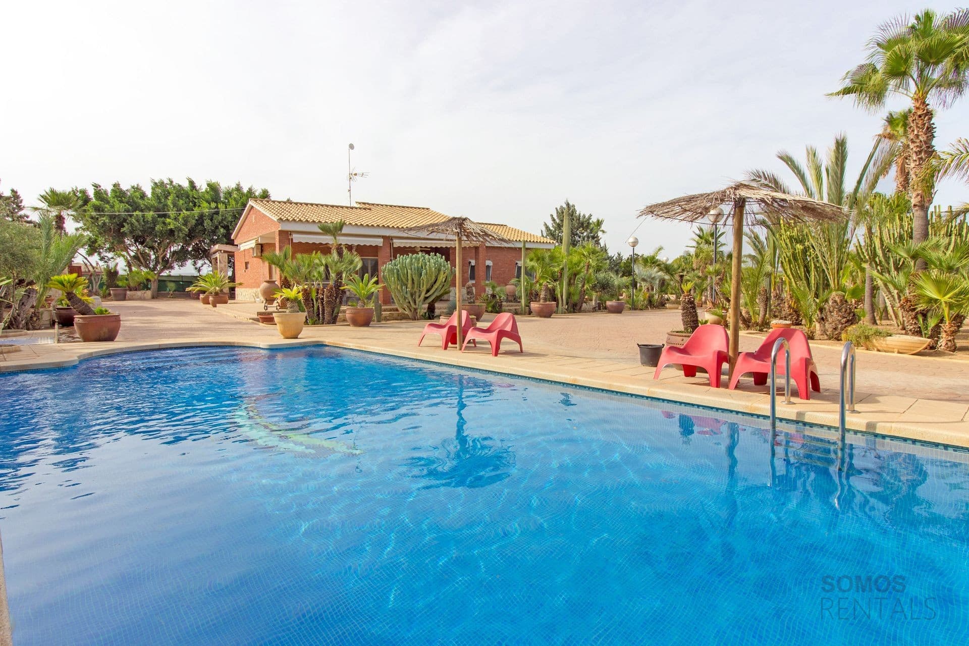Property pictured: Villa Cactuario — El Altet