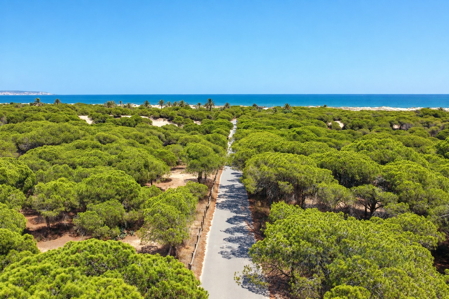 La Marina beach — Casa Kretz, Urb La Marina