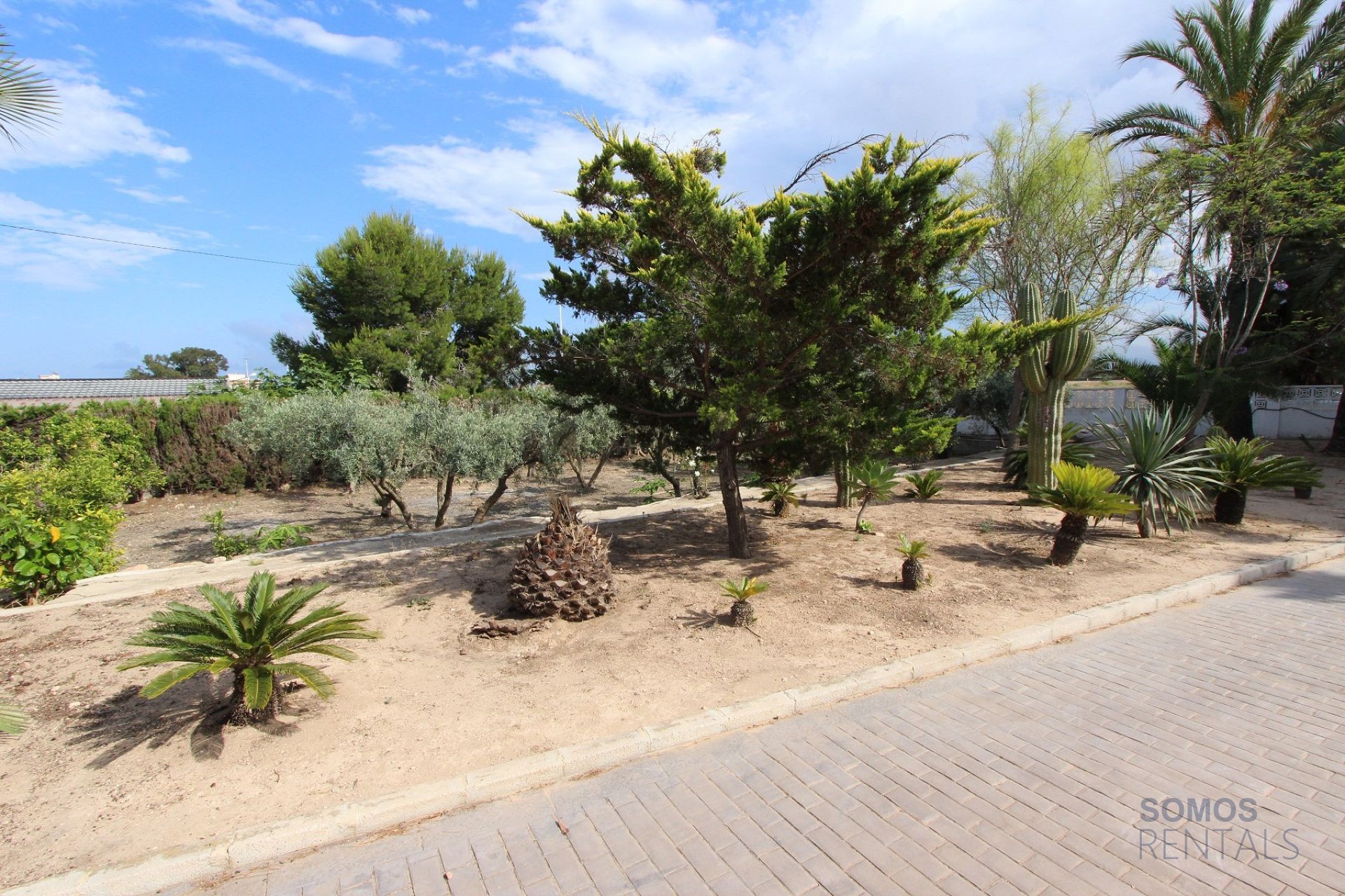 Villa Paraíso - El Altet photograph 35