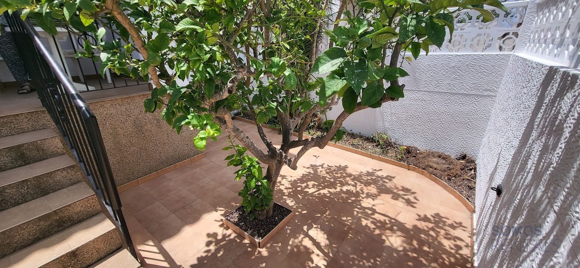 Casa Tropical - Gran Alacant photograph 4
