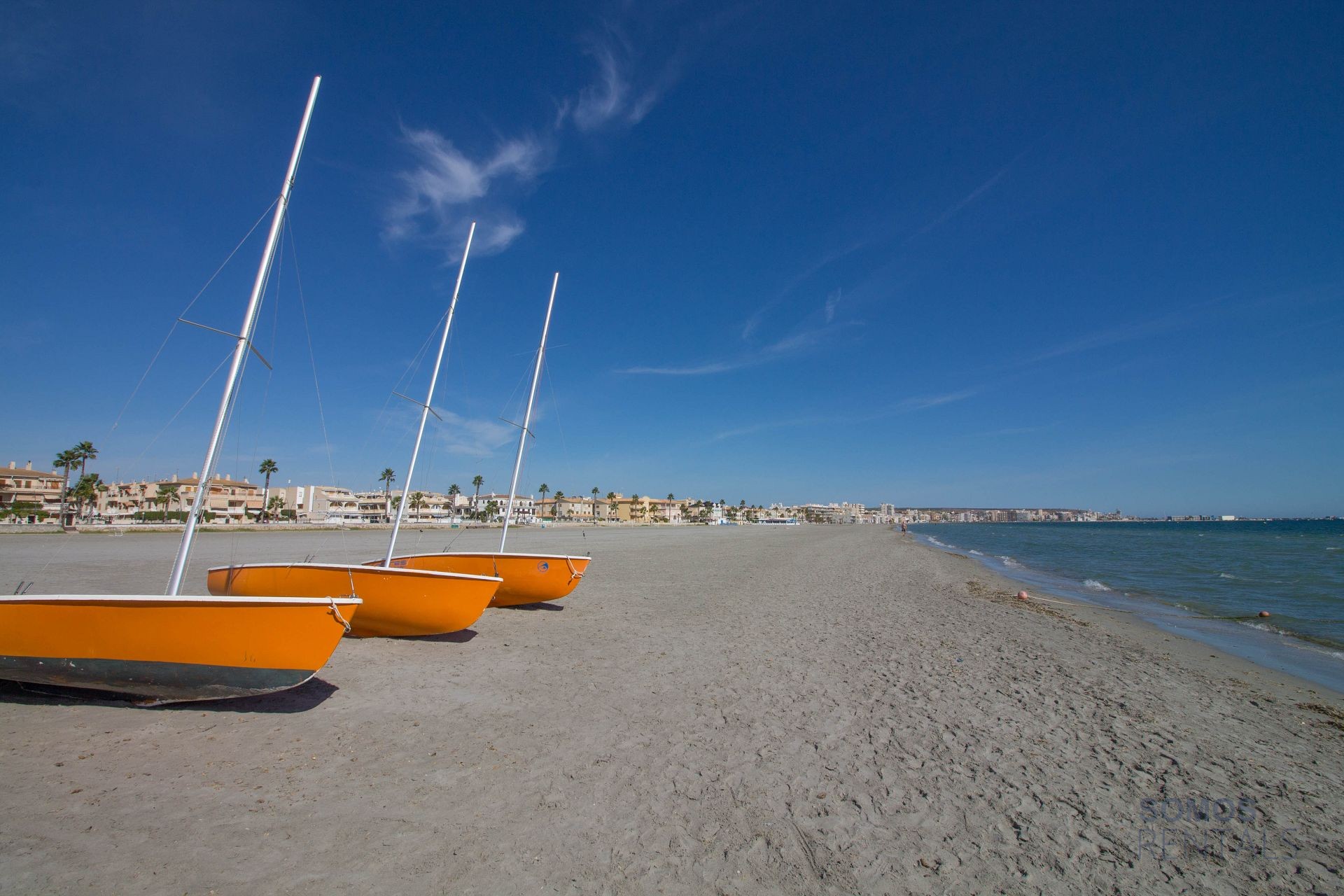 Apartamento Tamarindos - Santa Pola photograph 21