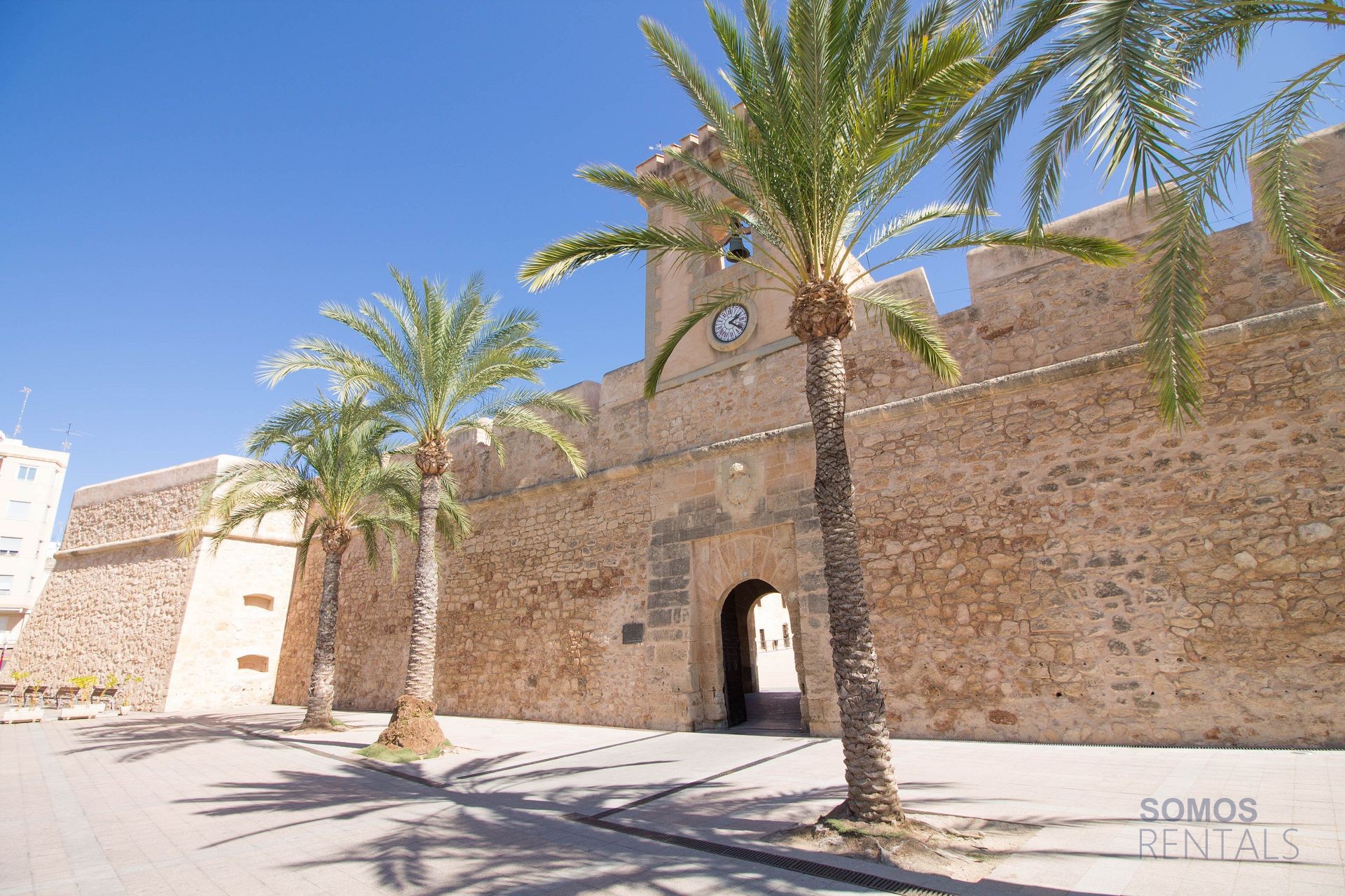 Apartamento Tamarindos - Santa Pola photograph 25