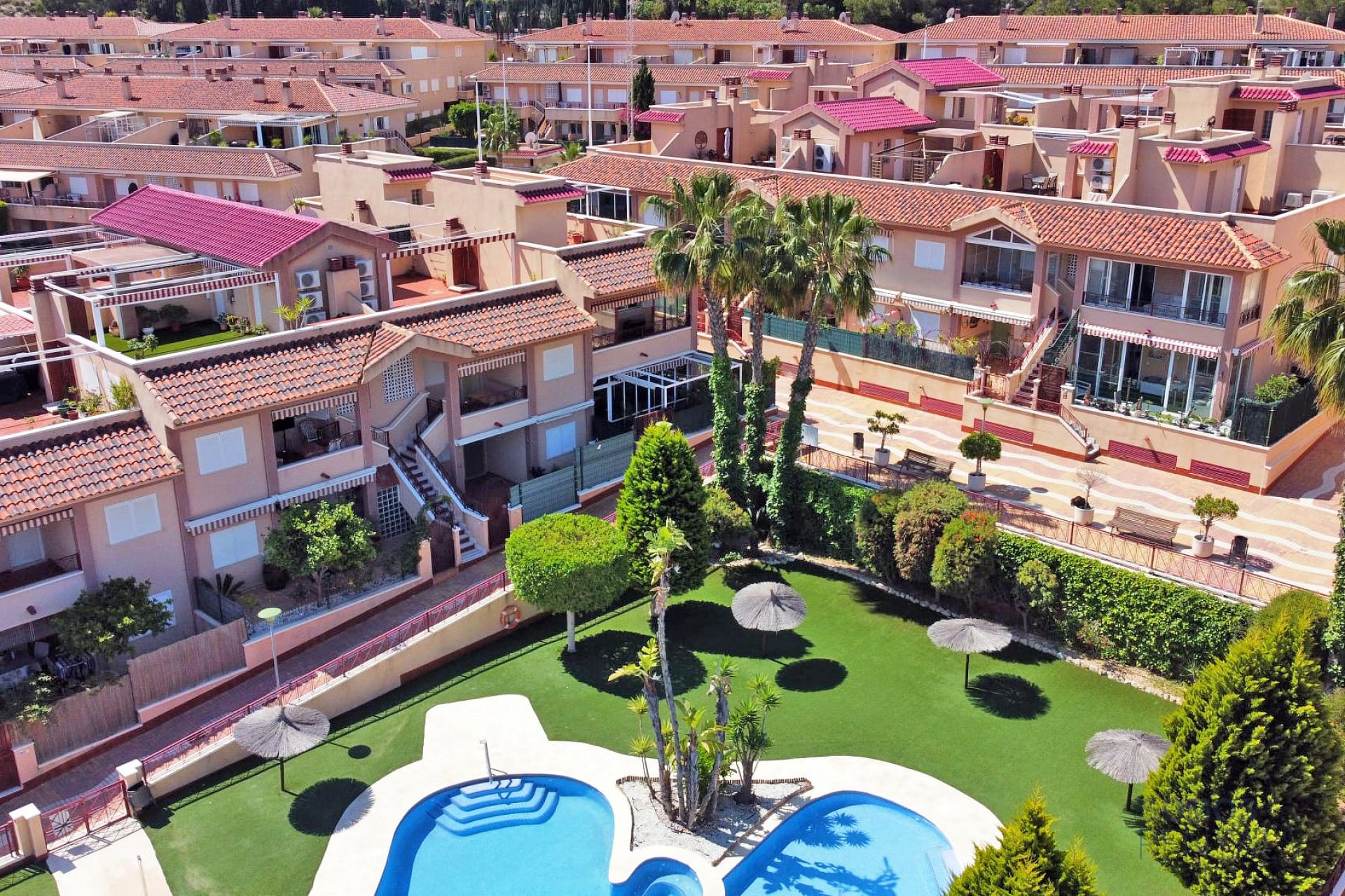 Casa Jardin Salamandra - Gran Alacant photograph 48