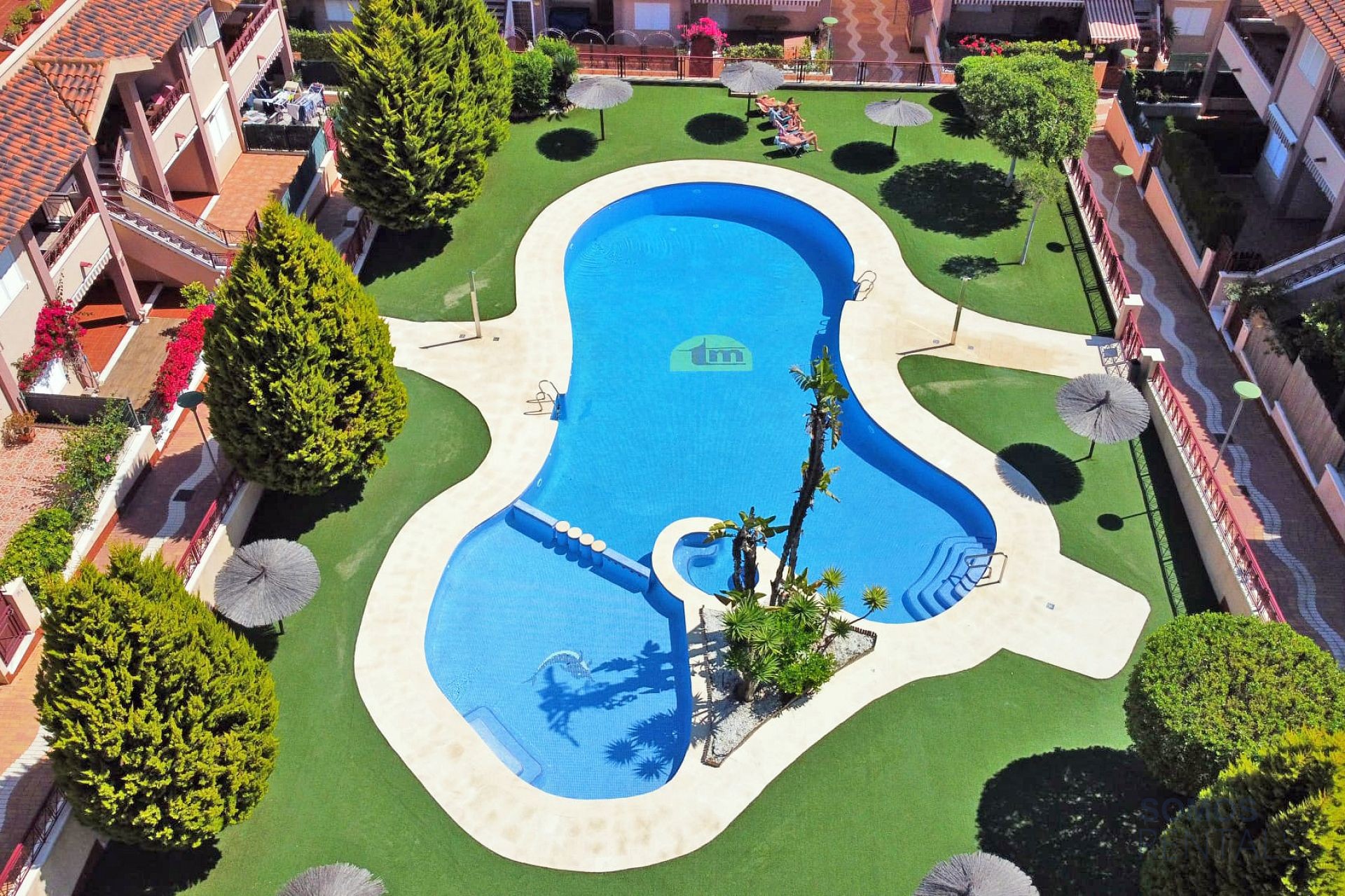 Casa Jardin Salamandra - Gran Alacant photograph 50
