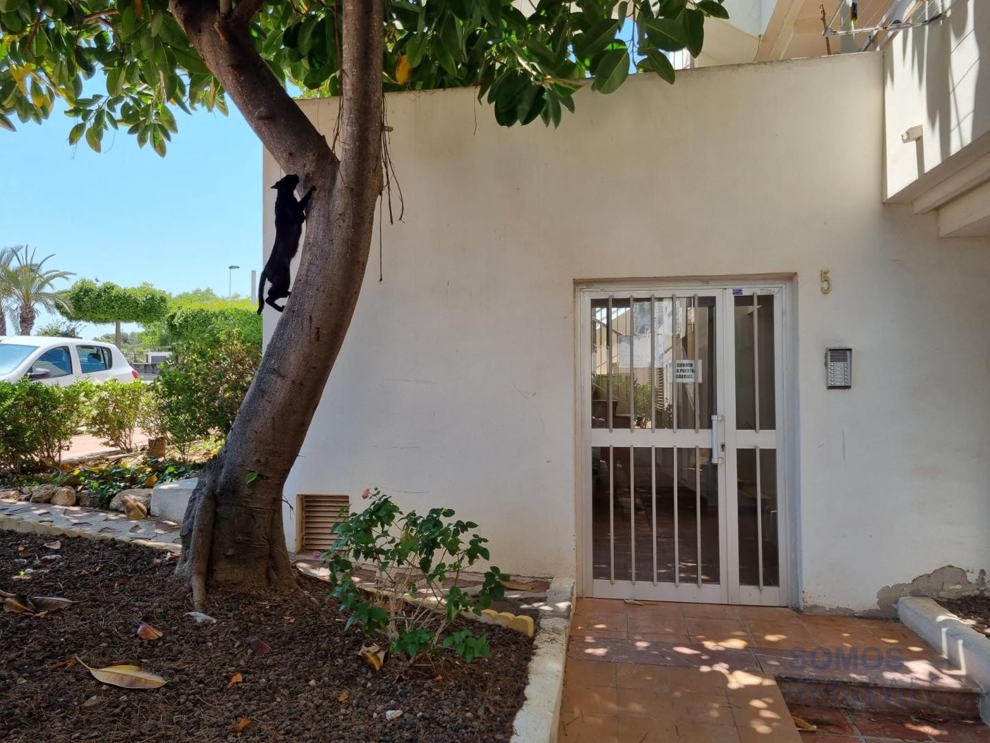 Apartamento Blue Skies - Gran Alacant photograph 34